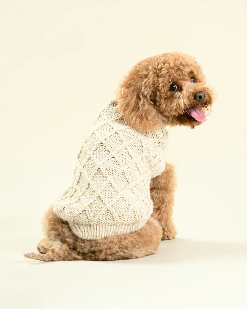 Diamond Knit Alpaca Dog Sweater (FINAL SALE) - Image 3
