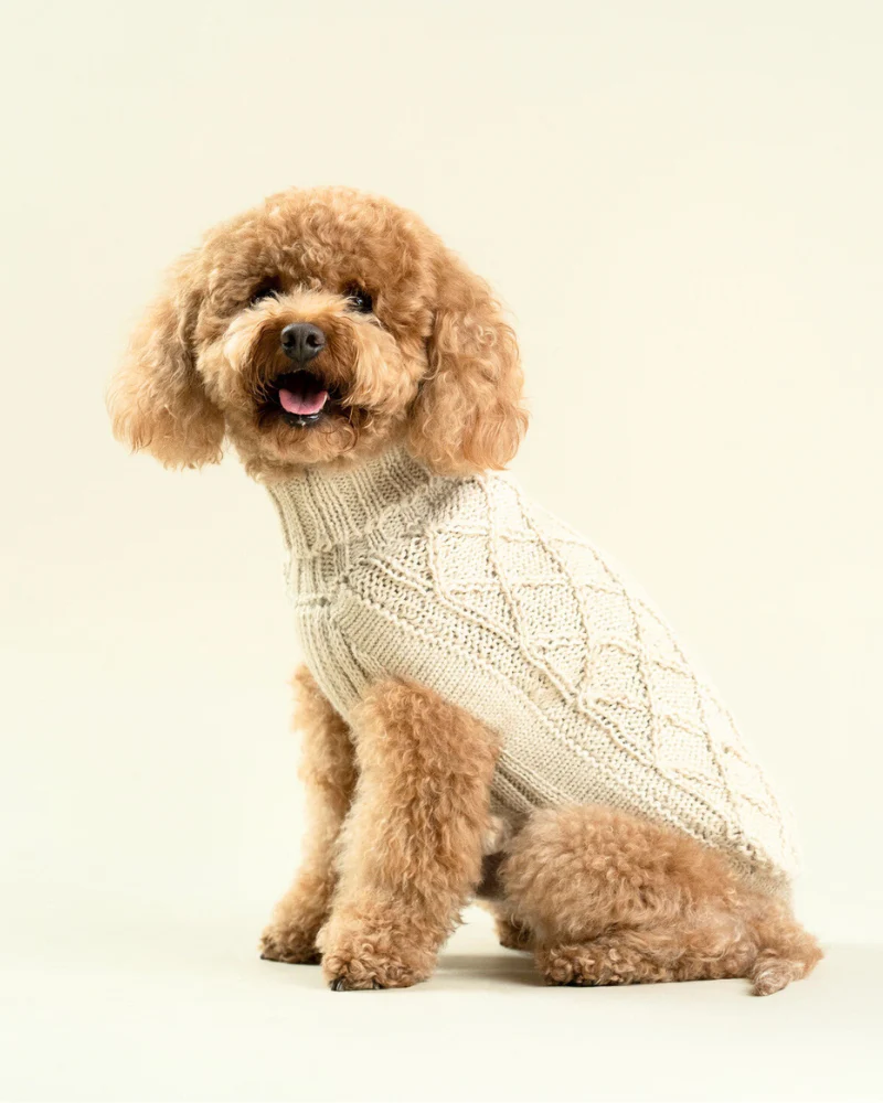 Diamond Knit Alpaca Dog Sweater (FINAL SALE) - Image 4