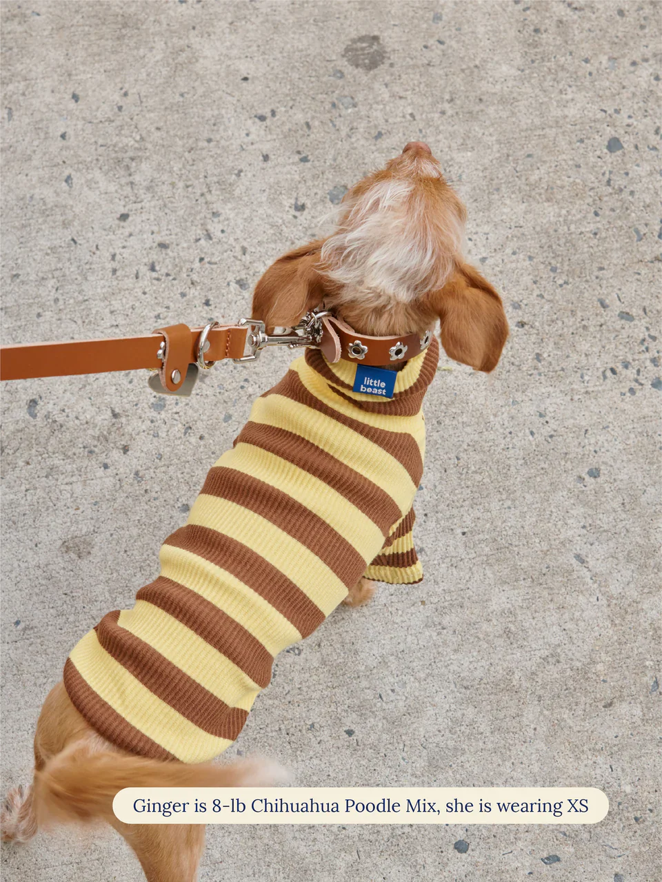 Dijon Ribbed Dog Shirt - Image 2