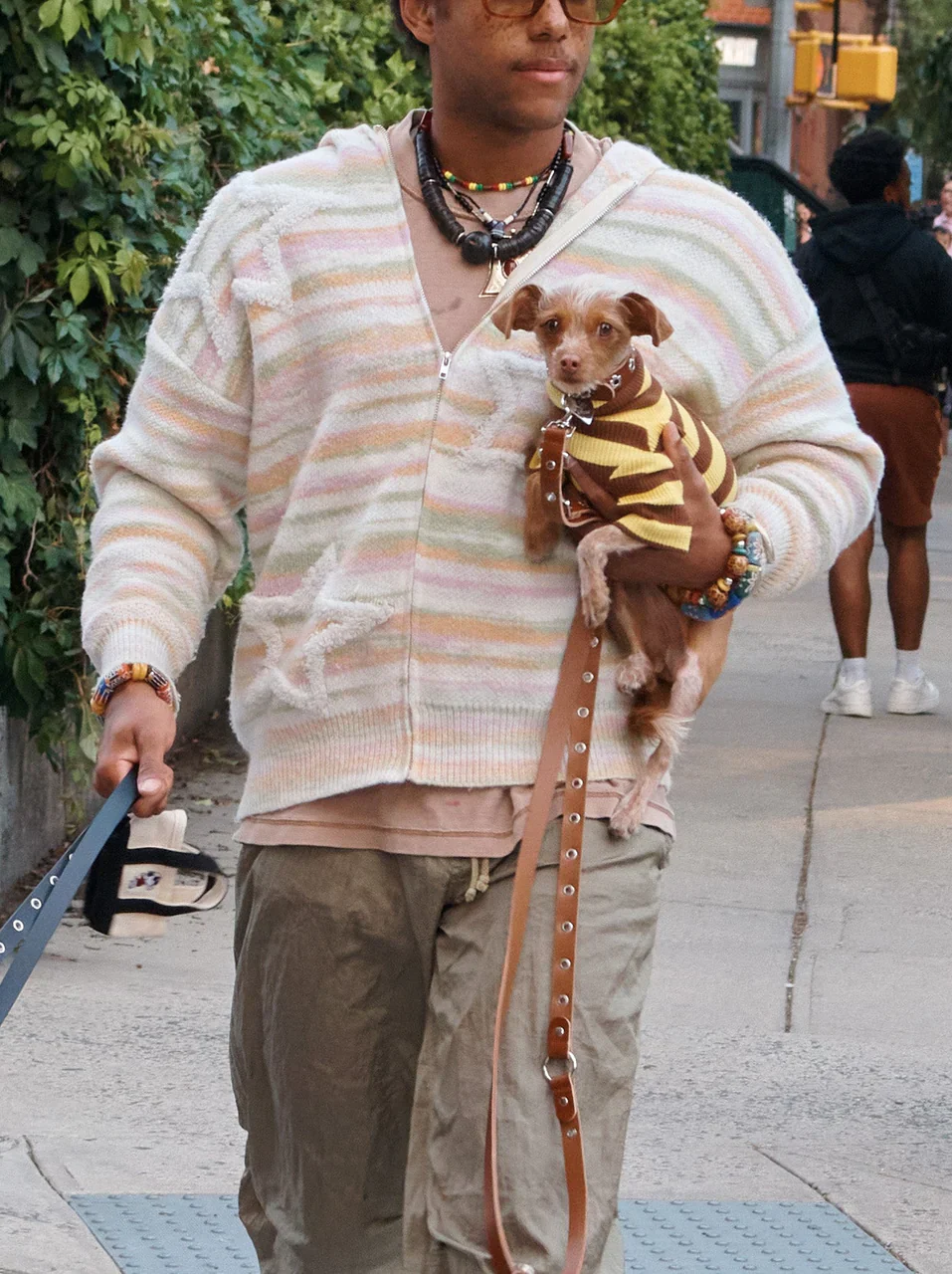 Dijon Ribbed Dog Shirt - Image 7