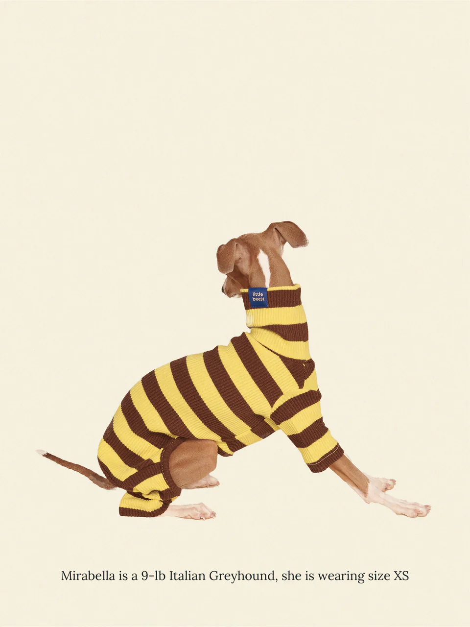 Dijon Stretch Ribbed Dog Onesie - Image 2