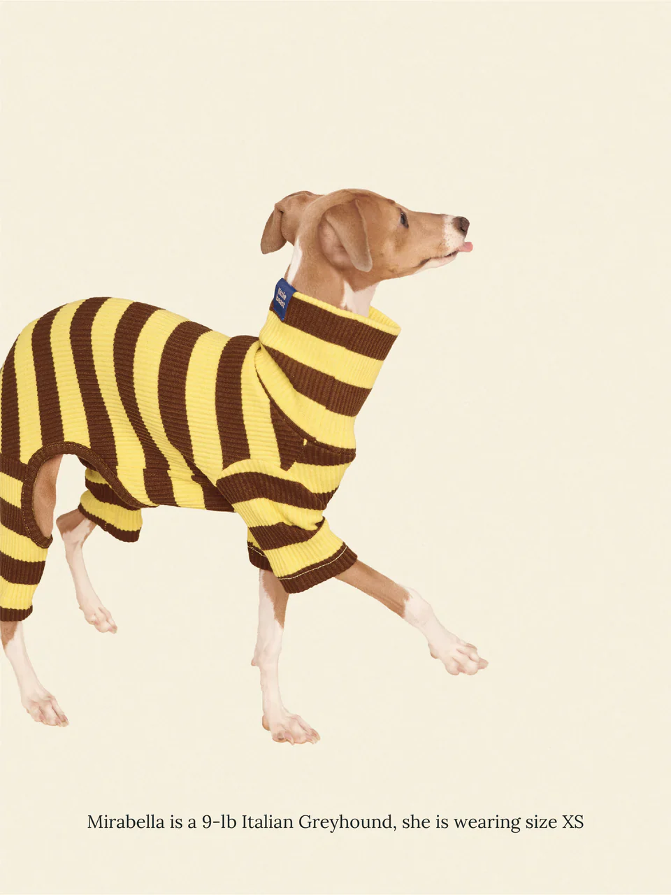 Dijon Stretch Ribbed Dog Onesie - Image 3