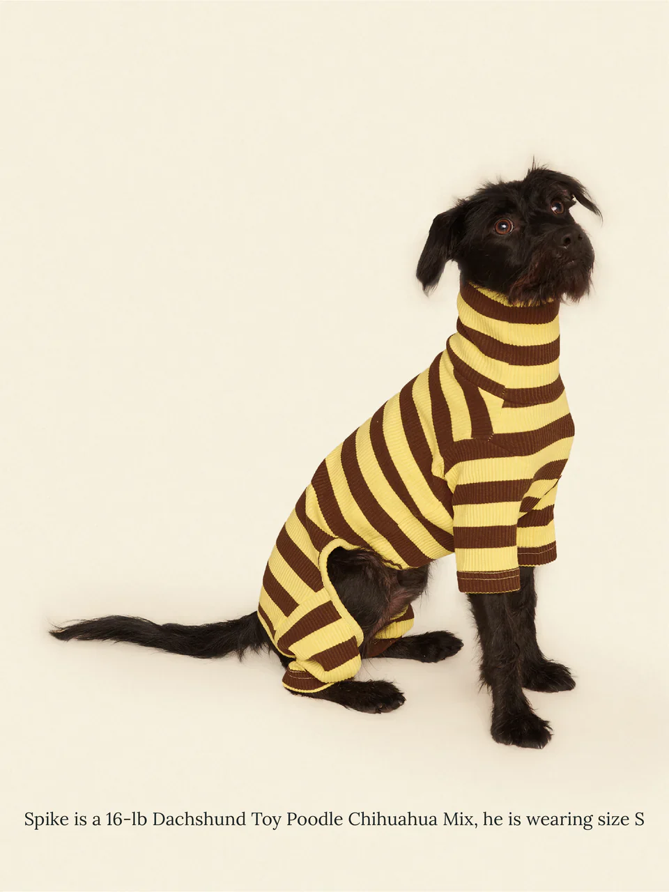 Dijon Stretch Ribbed Dog Onesie - Image 4