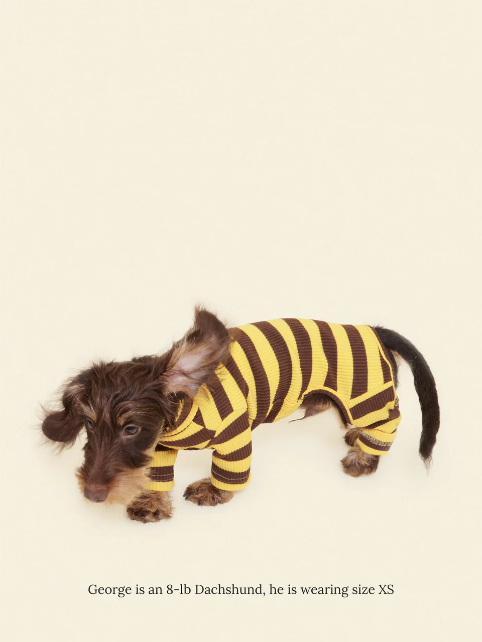 Dijon Stretch Ribbed Dog Onesie - Image 5