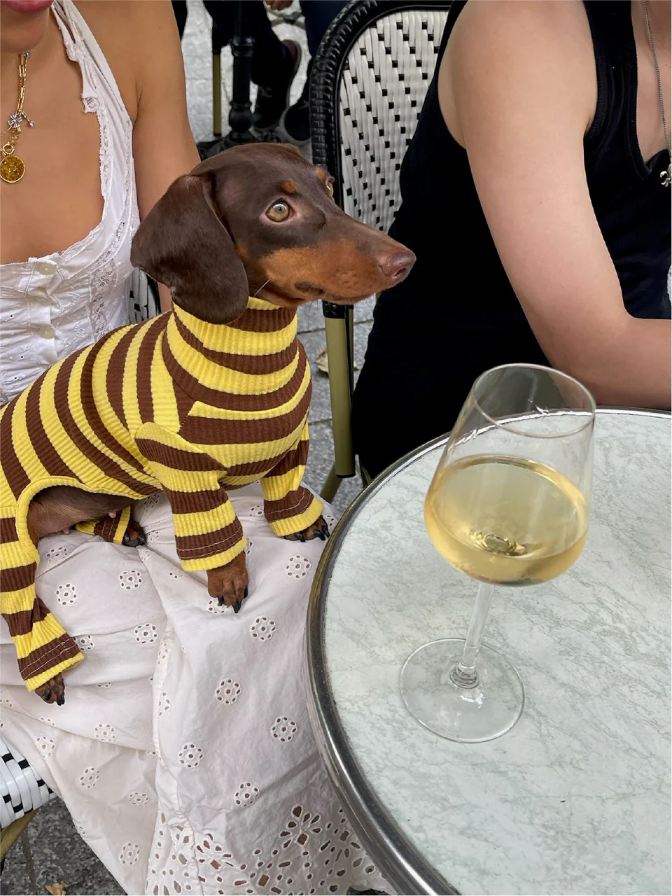 Dijon Stretch Ribbed Dog Onesie - Image 8