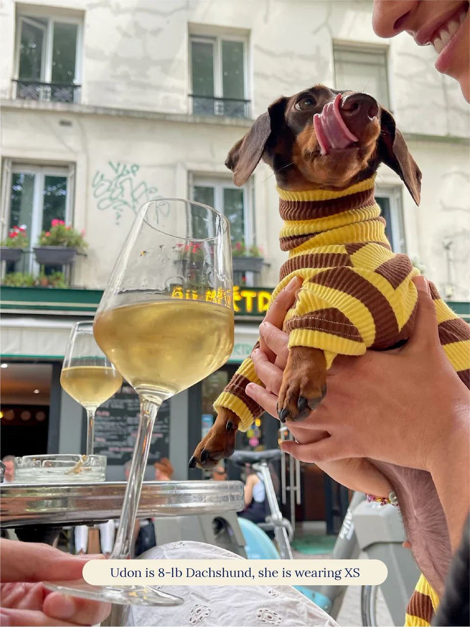 Dijon Stretch Ribbed Dog Onesie - Image 9
