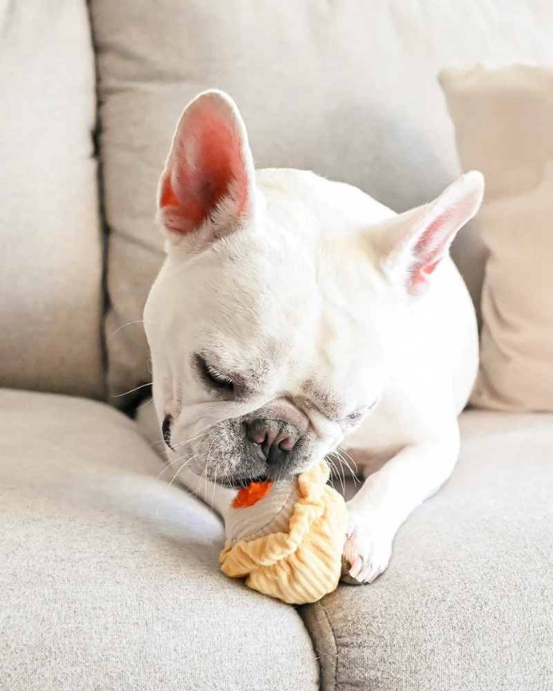 Dim Sum Pop Enrichment Dog Toy - Image 3