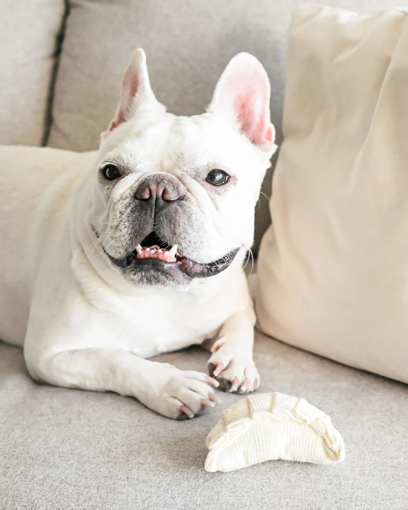 Dim Sum Pop Enrichment Dog Toy - Image 4