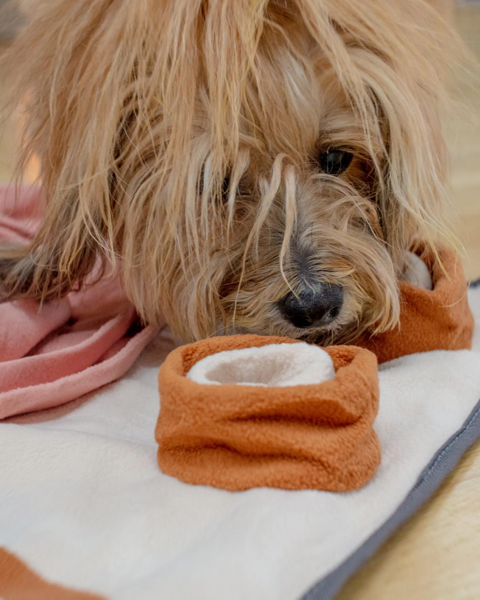 Dinner Table Snuffle Feeding Toy for Dogs & Cats - Image 10