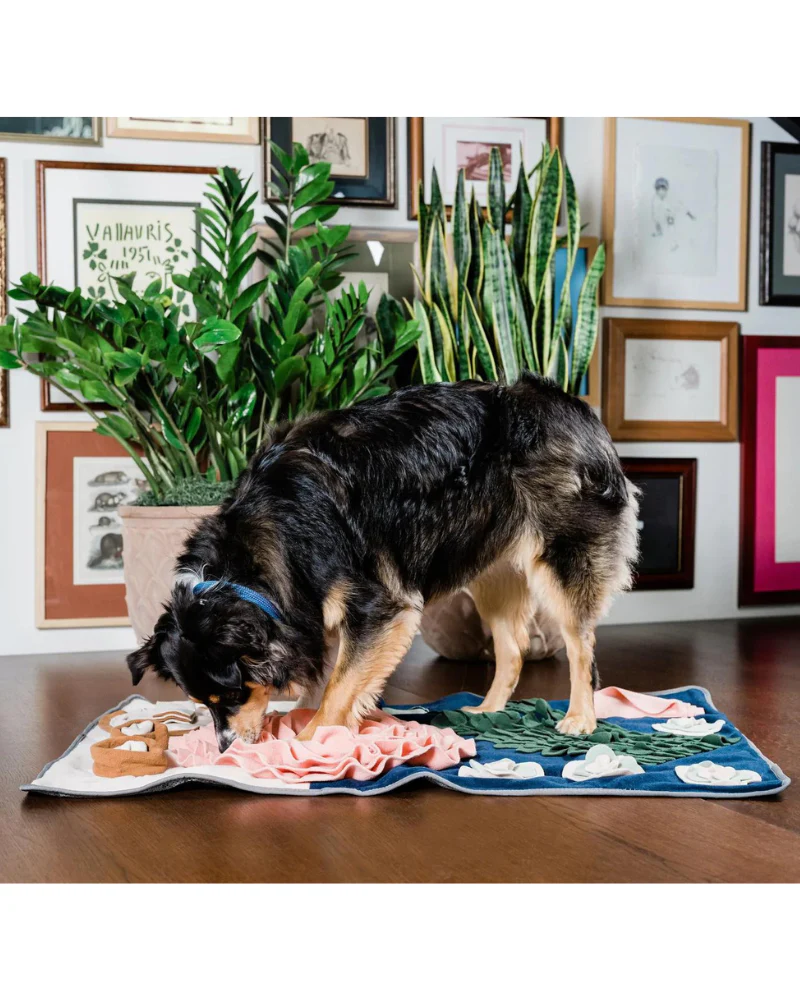 Dinner Table Snuffle Feeding Toy for Dogs & Cats - Image 2