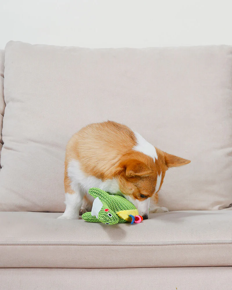 Dinosaur Dude Squeaky Mesh Dog Toy (FINAL SALE) - Image 4