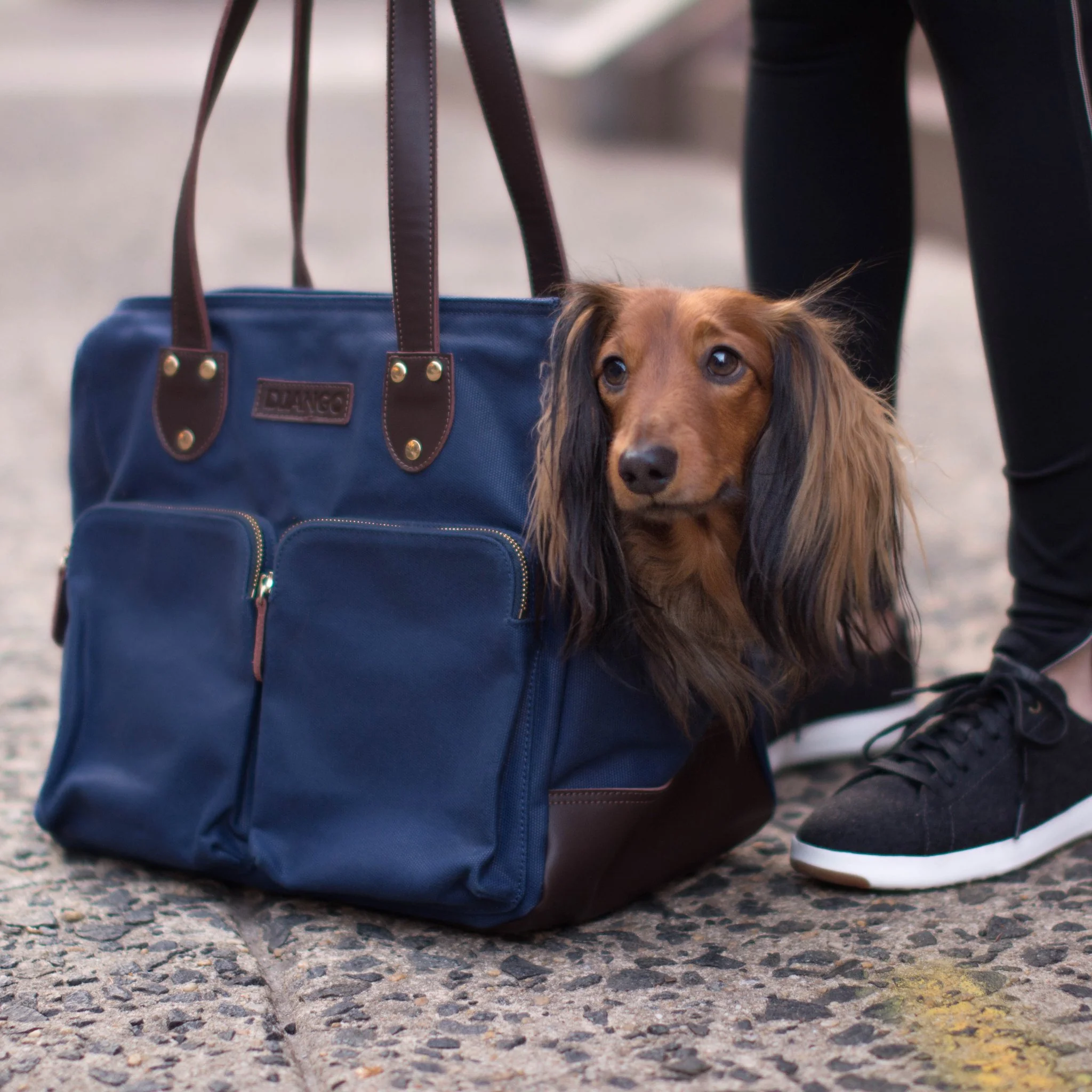 DJANGO | Waxed Canvas + Leather Pet Tote in Navy - Image 3