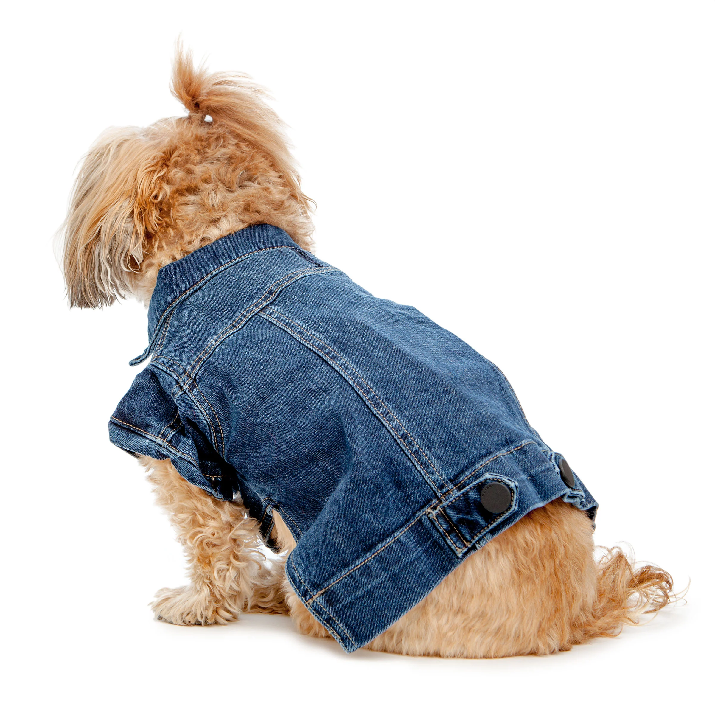 DL1961 | Denim Jacket in Puppy Breath - Image 2