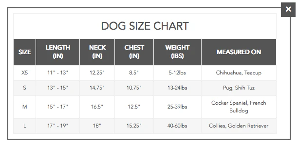 DL1961 | Denim Jacket in Puppy Breath - Image 5