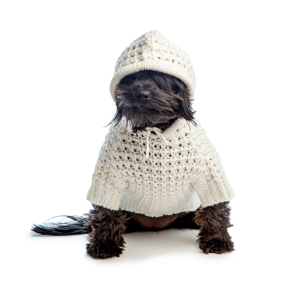 DNY | Chunky Knit Beach Hoodie in Vanilla - Image 4