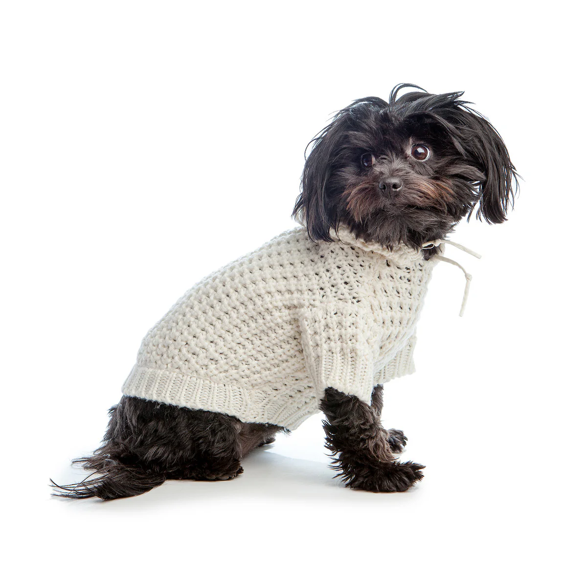 DNY | Chunky Knit Beach Hoodie in Vanilla - Image 5