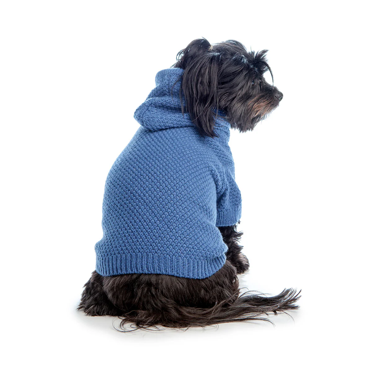 DNY | Fine Knit Beach Hoodie in Sea Blue - Image 5