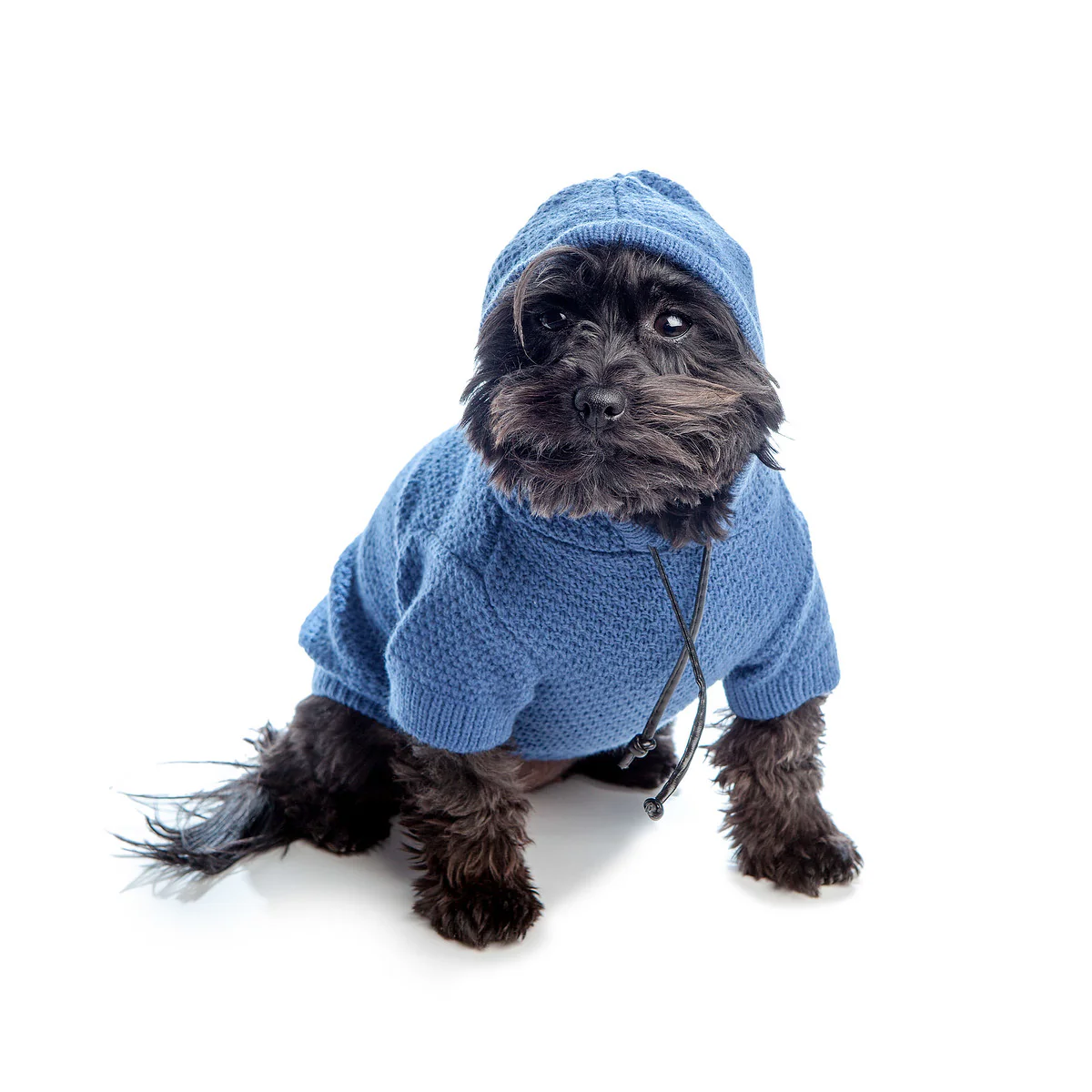 DNY | Fine Knit Beach Hoodie in Sea Blue - Image 6