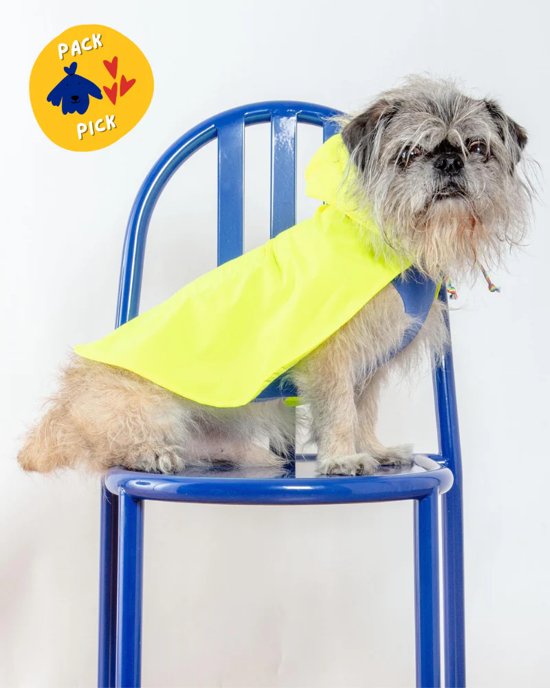 Action Jacket Dog Pull-On Raincoat in Safety Yellow + Blue (Made in NYC) - Image 3