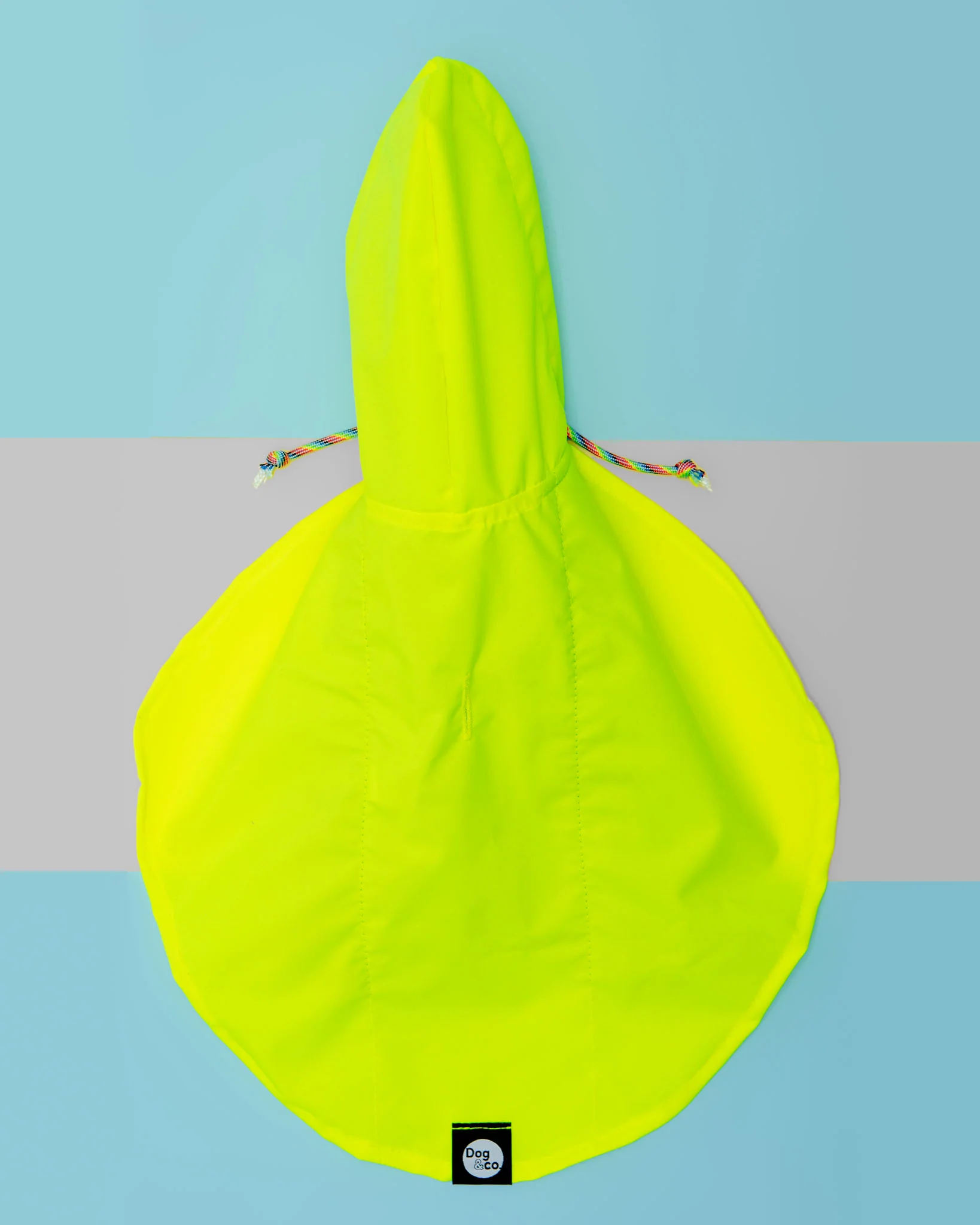 Action Jacket Dog Pull-On Raincoat in Safety Yellow + Blue (Made in NYC) - Image 9