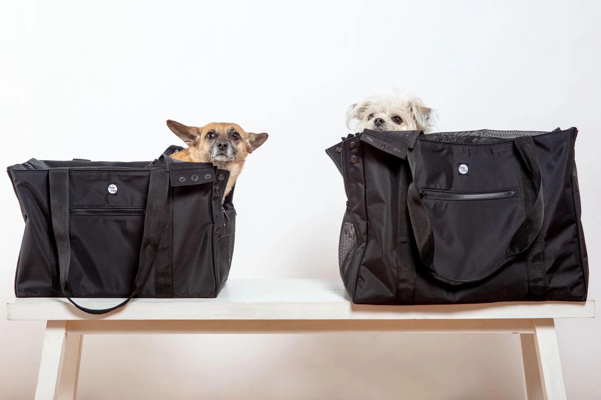 Around-Town Dog Carrier <br>(Made in the USA) - Image 6
