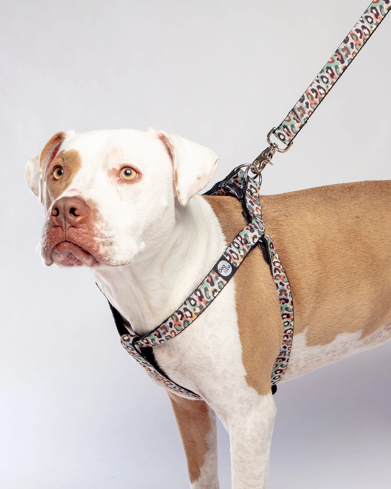 Camo Leopard Dog Leash (Made in NYC) - Image 3