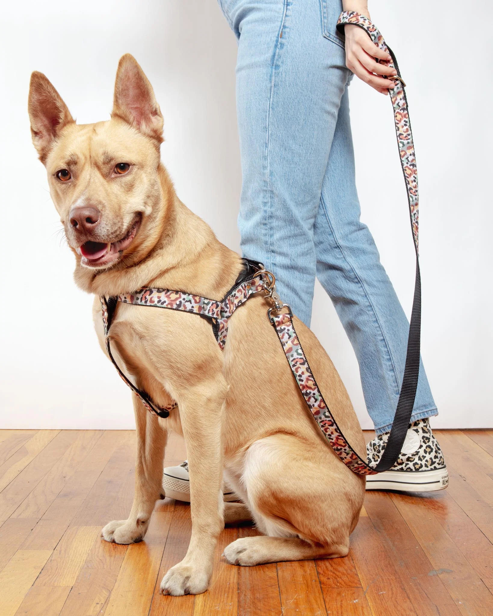 Camo Leopard Dog Leash (Made in NYC) - Image 5