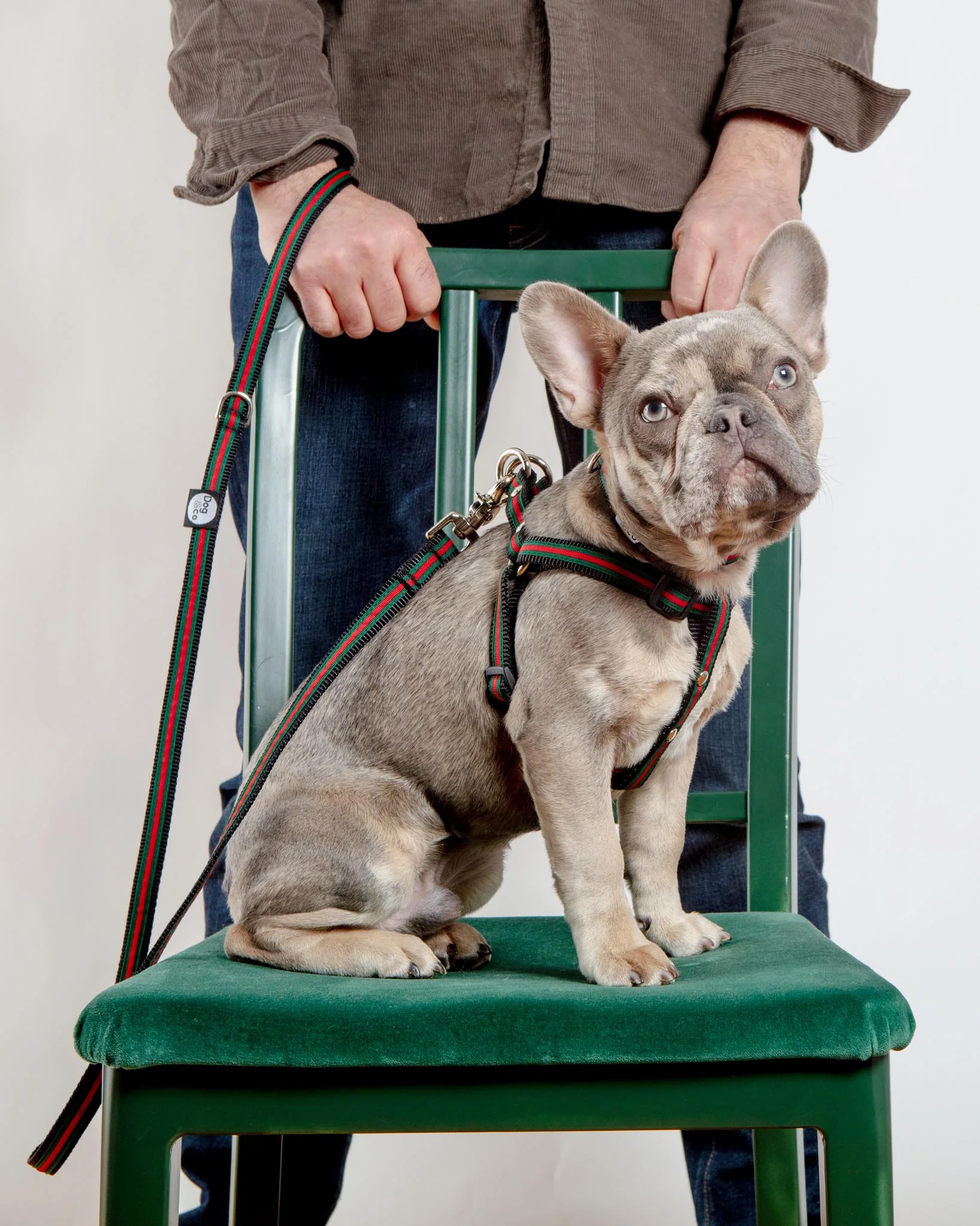 Luxe Green & Red Stripe Dog Leash (Made in NYC) - Image 6
