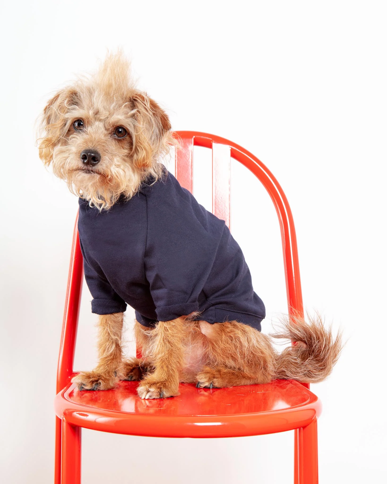 Cut-Sleeve Crewneck Pullover in New Navy (Made in NYC!) (FINAL SALE) - Image 5