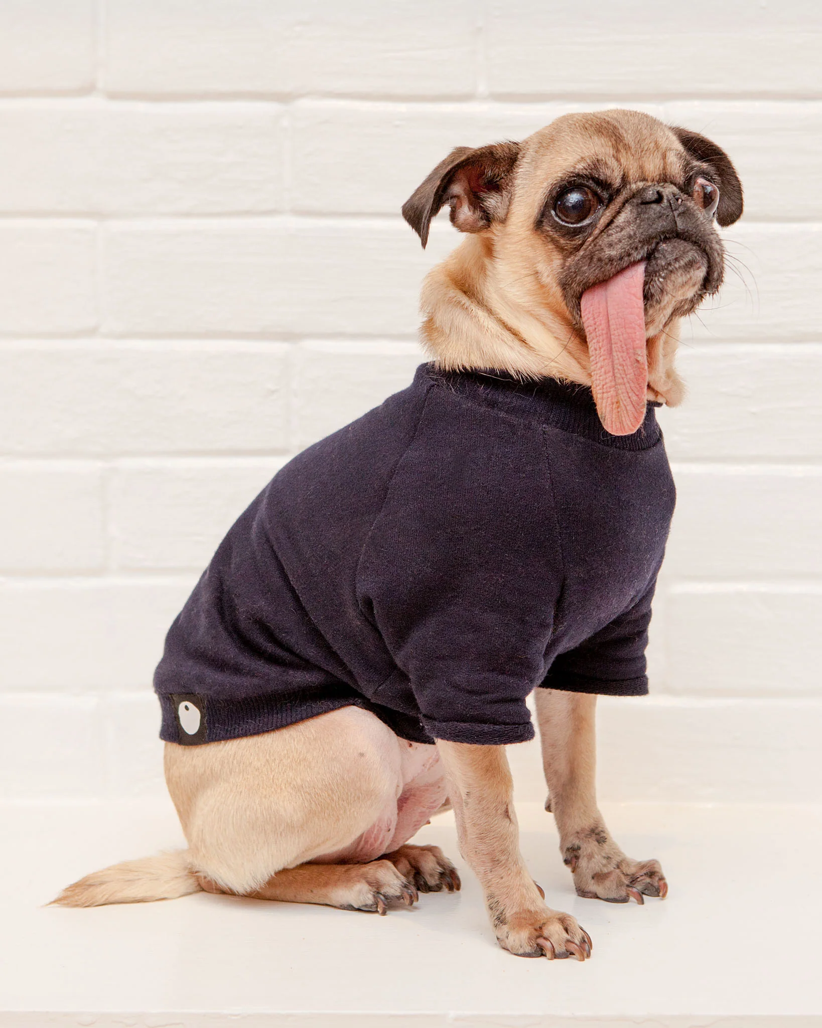 Cut-Sleeve Crewneck Pullover in New Navy (Made in NYC!) (FINAL SALE) - Image 6