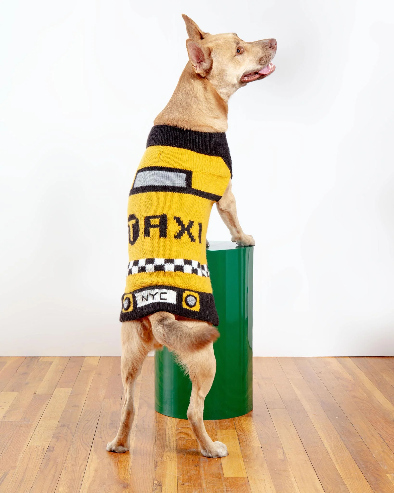 NYC Taxi Handknit Dog Sweater (Dog & Co. Exclusive) (FINAL SALE)