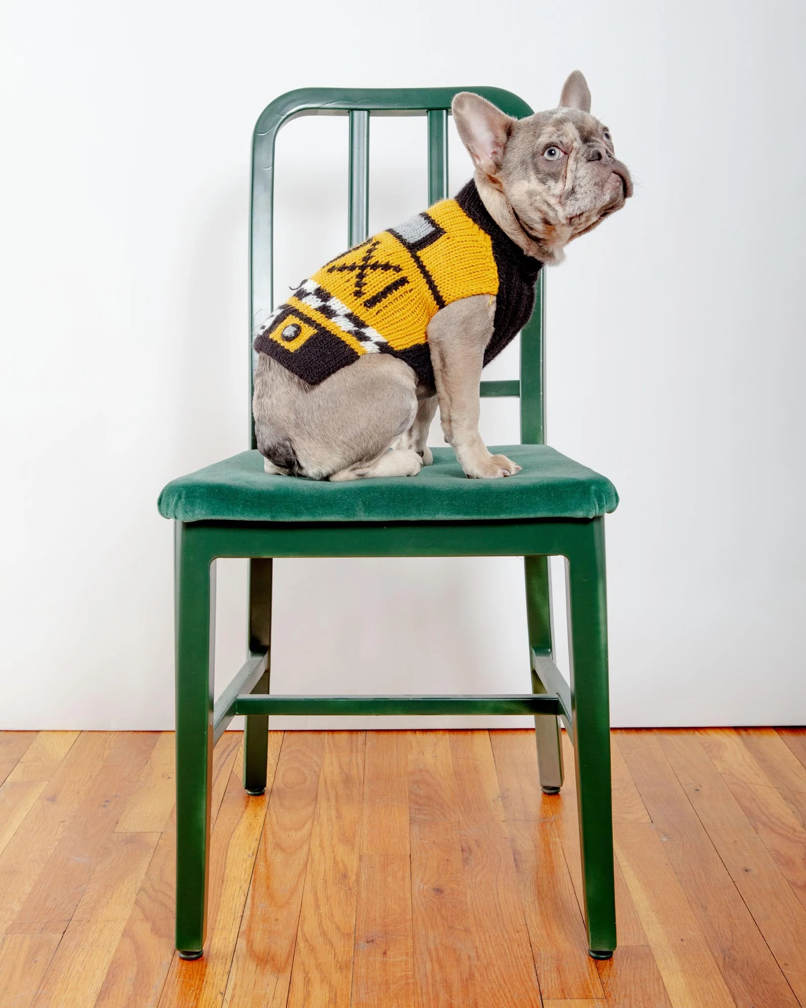 NYC Taxi Handknit Dog Sweater (Dog & Co. Exclusive) (FINAL SALE) - Image 3