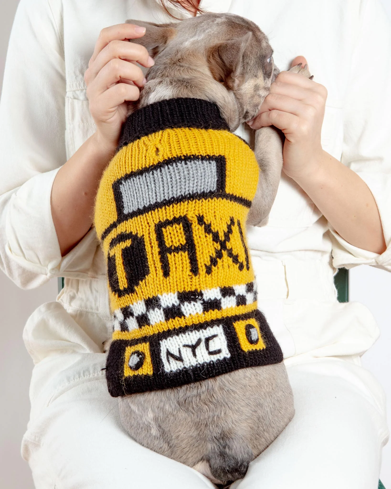 NYC Taxi Handknit Dog Sweater (Dog & Co. Exclusive) (FINAL SALE) - Image 4