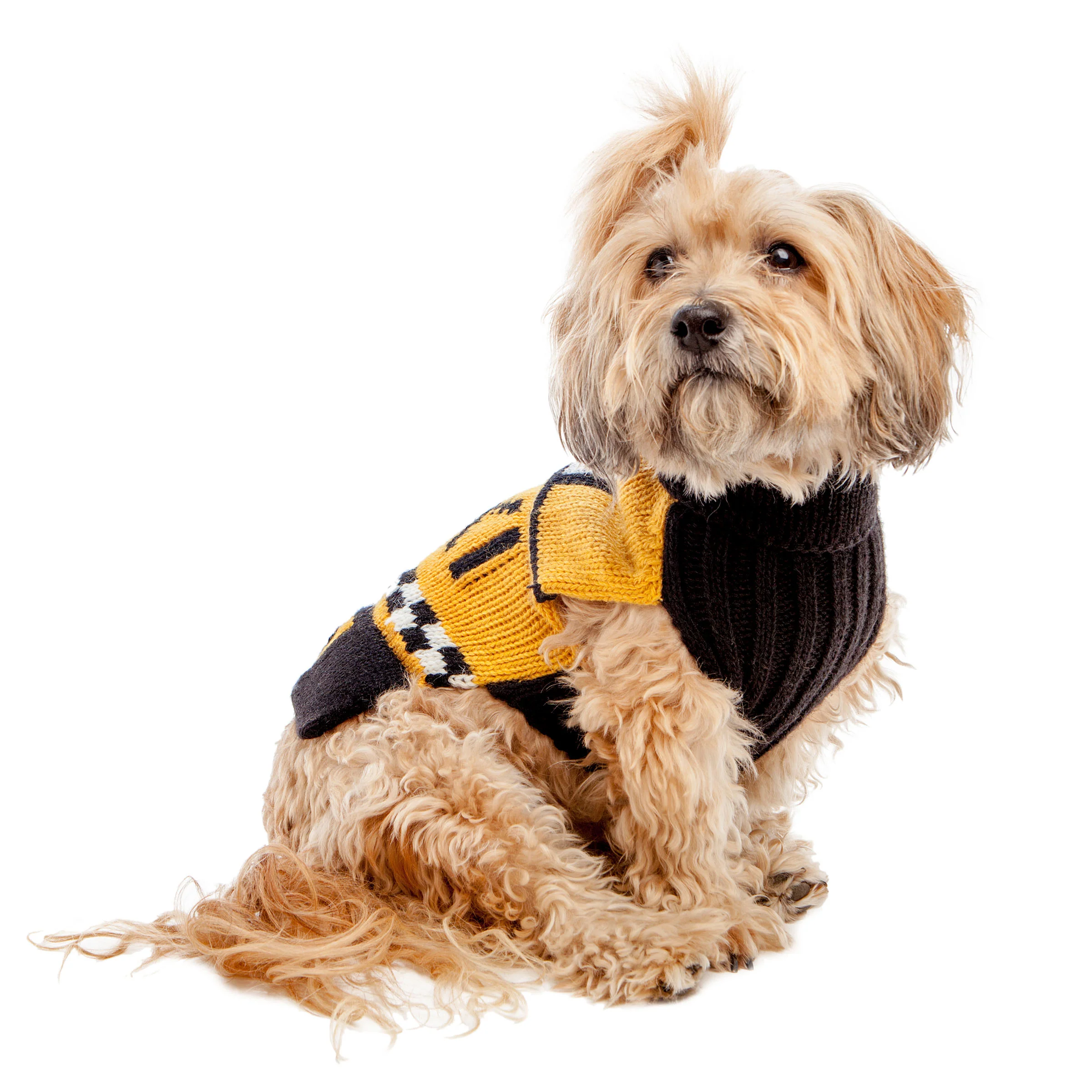 NYC Taxi Handknit Dog Sweater (Dog & Co. Exclusive) (FINAL SALE) - Image 8