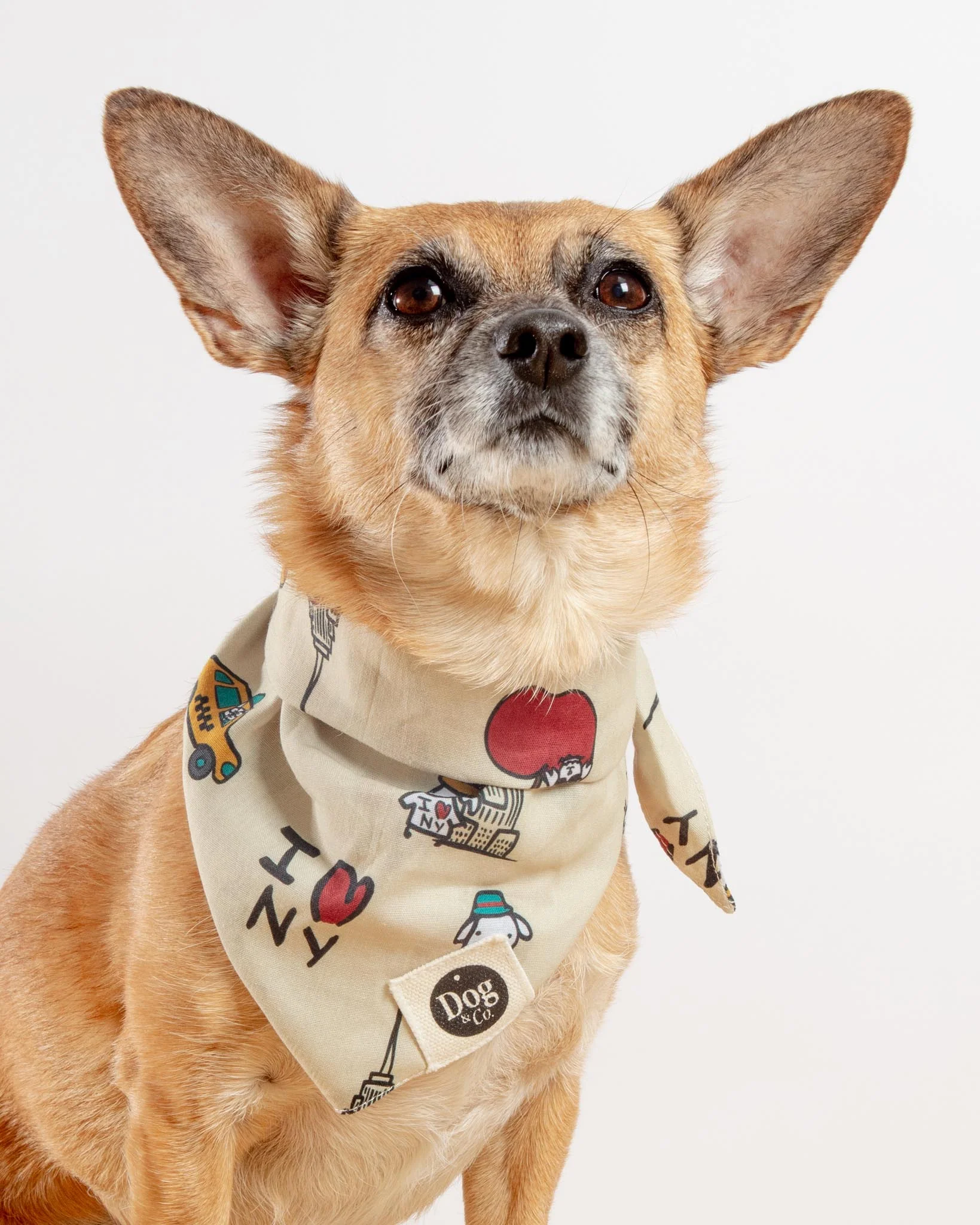 I Love New York Dog Bandana (Dog & Co. Exclusive) - Image 2