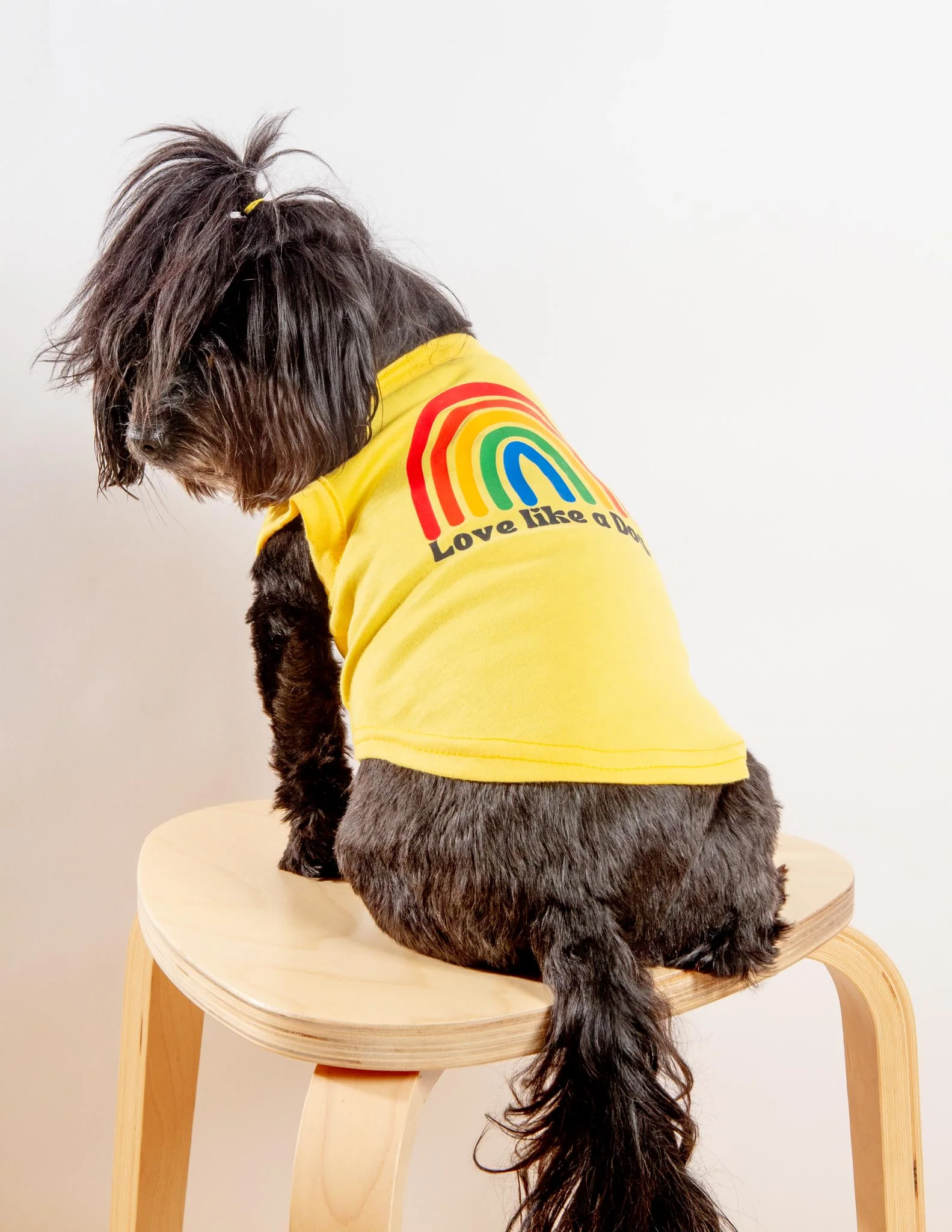 Love Like a Dog Rainbow Tank Top (CLEARANCE) - Image 2