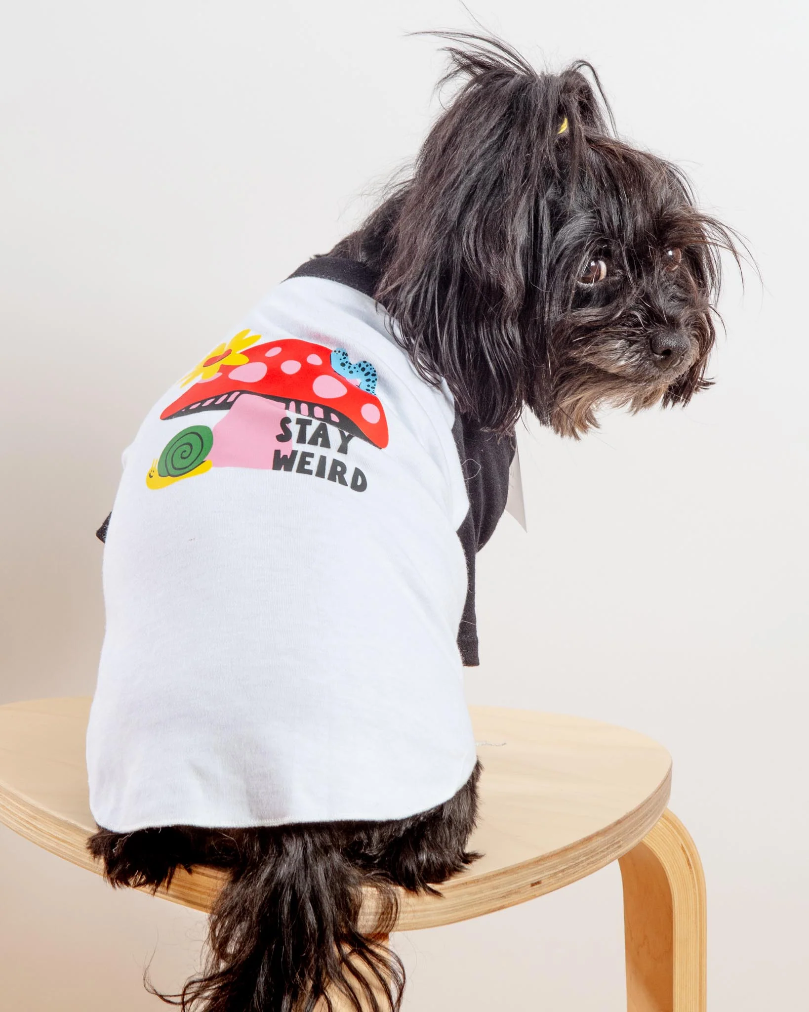 *Stay Weird* Graphic Dog T-Shirt - Image 2