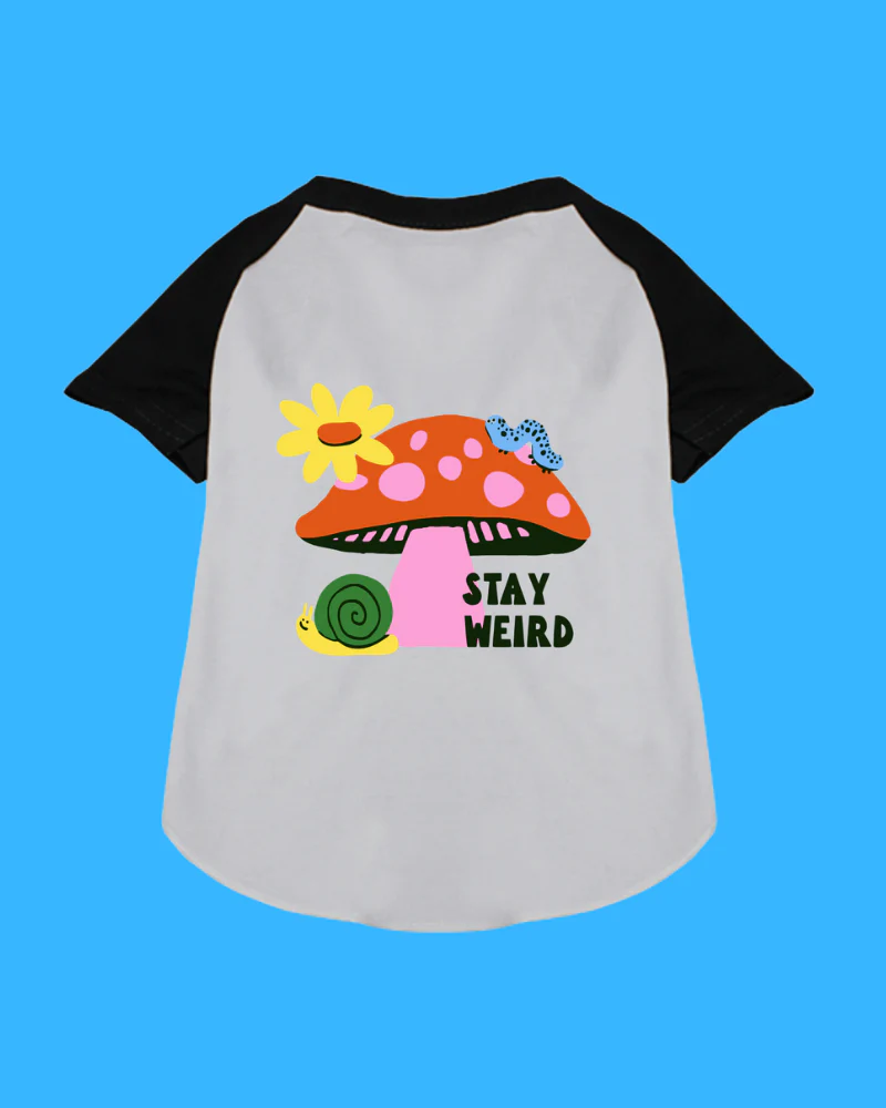 *Stay Weird* Graphic Dog T-Shirt - Image 4