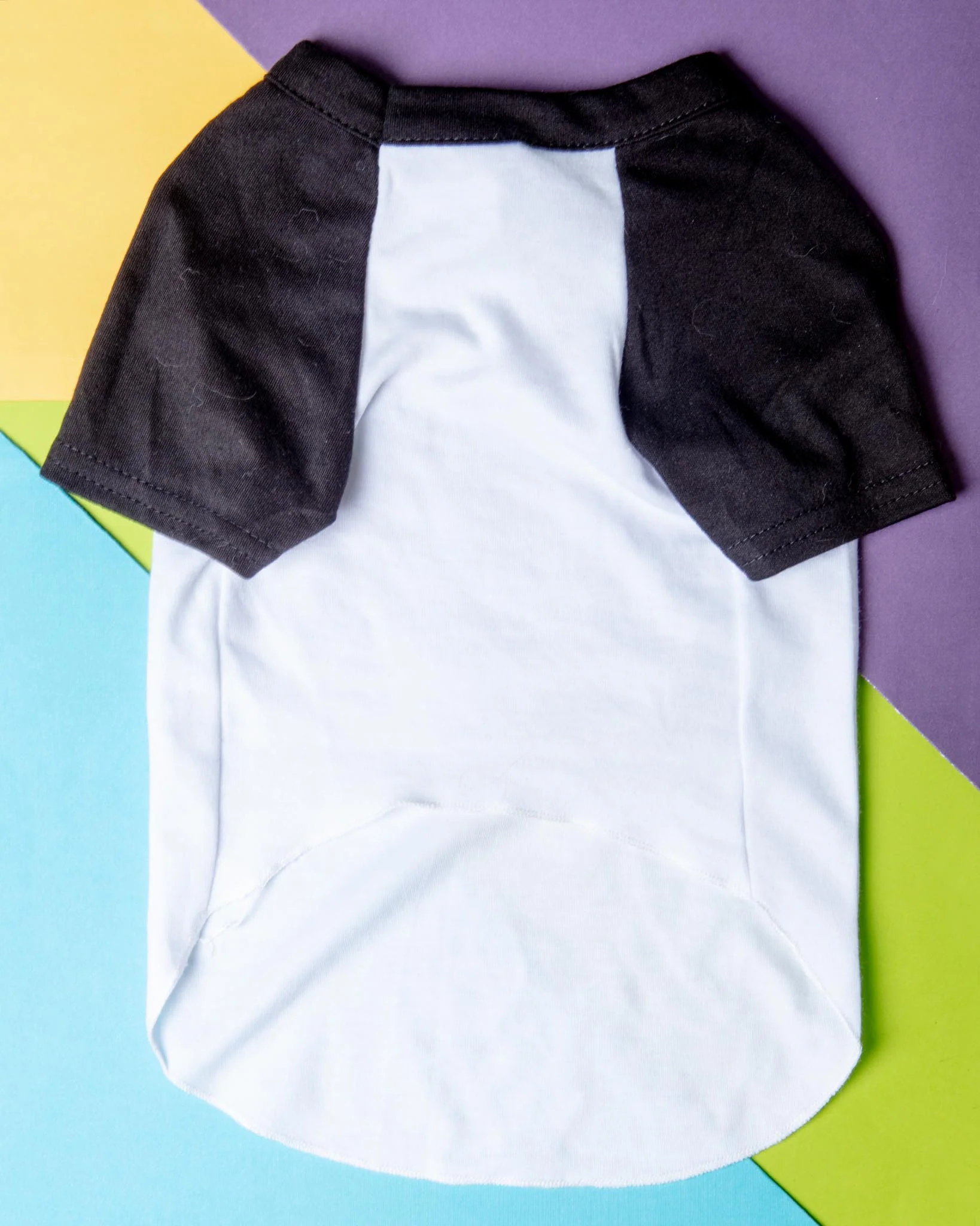 *Stay Weird* Graphic Dog T-Shirt - Image 5