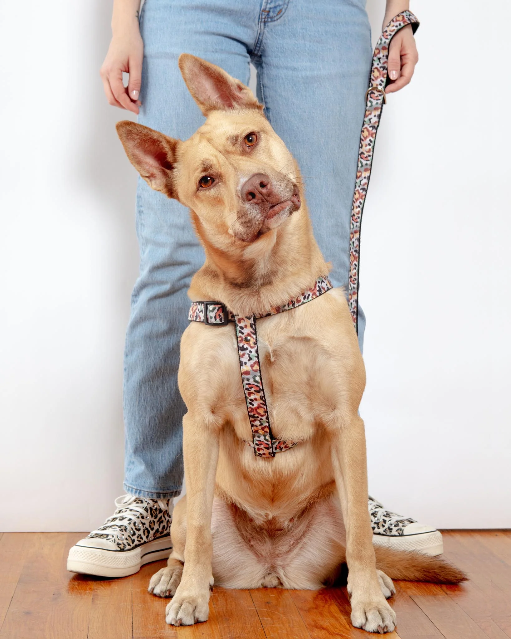 Step-In Dog Harness in Camo Leopard (Made in NYC) - Image 10