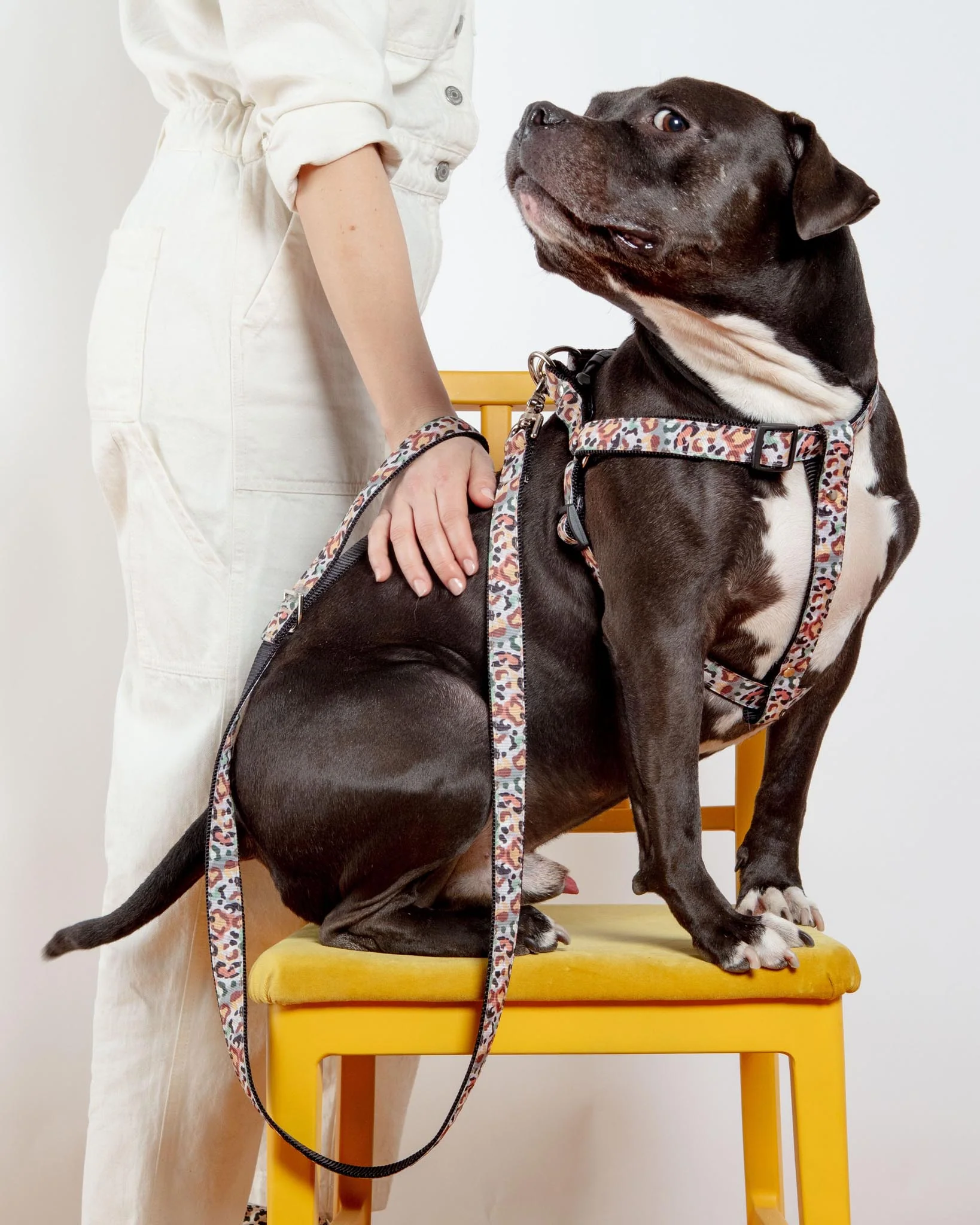 Step-In Dog Harness in Camo Leopard (Made in NYC) - Image 3