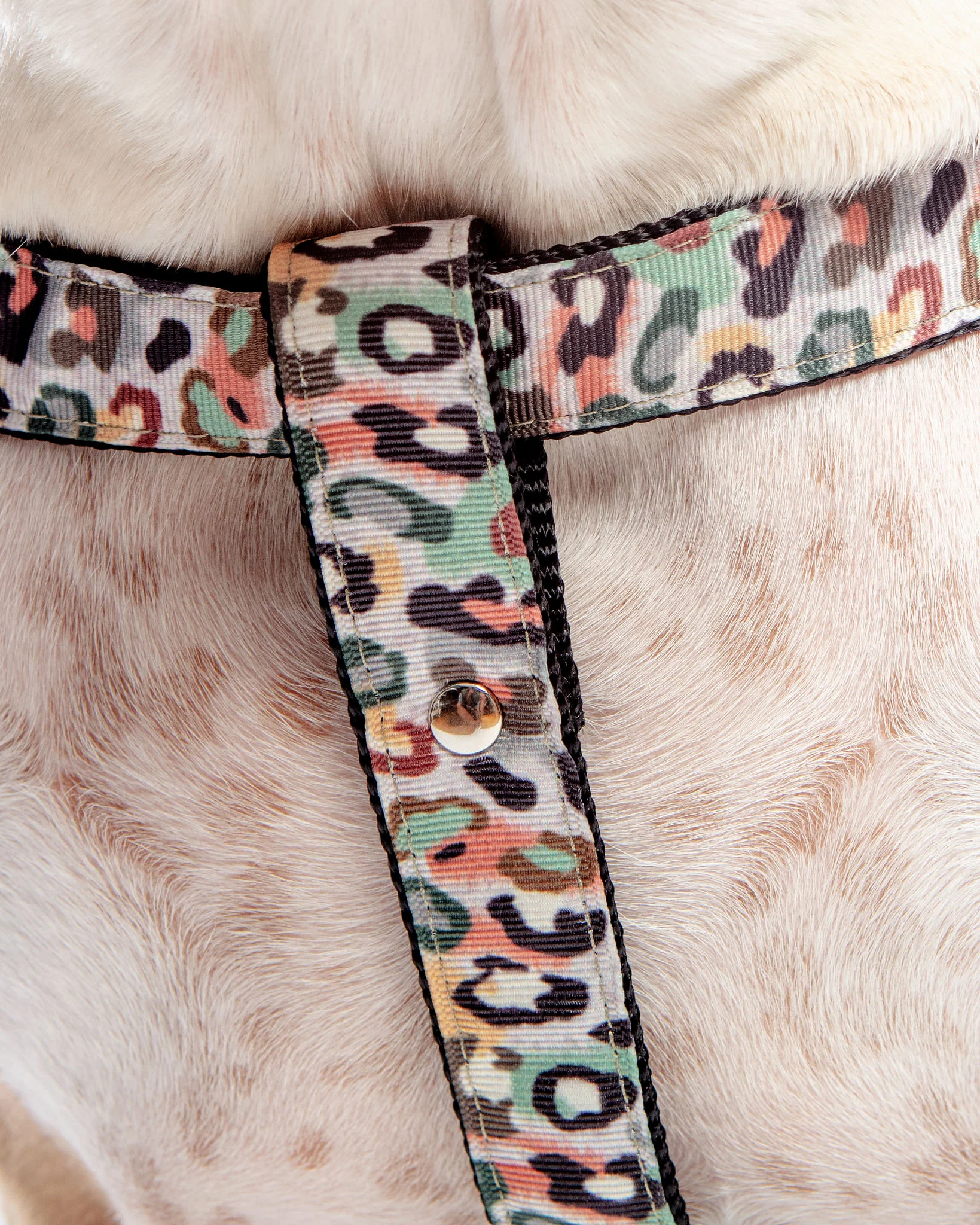 Step-In Dog Harness in Camo Leopard (Made in NYC) - Image 7