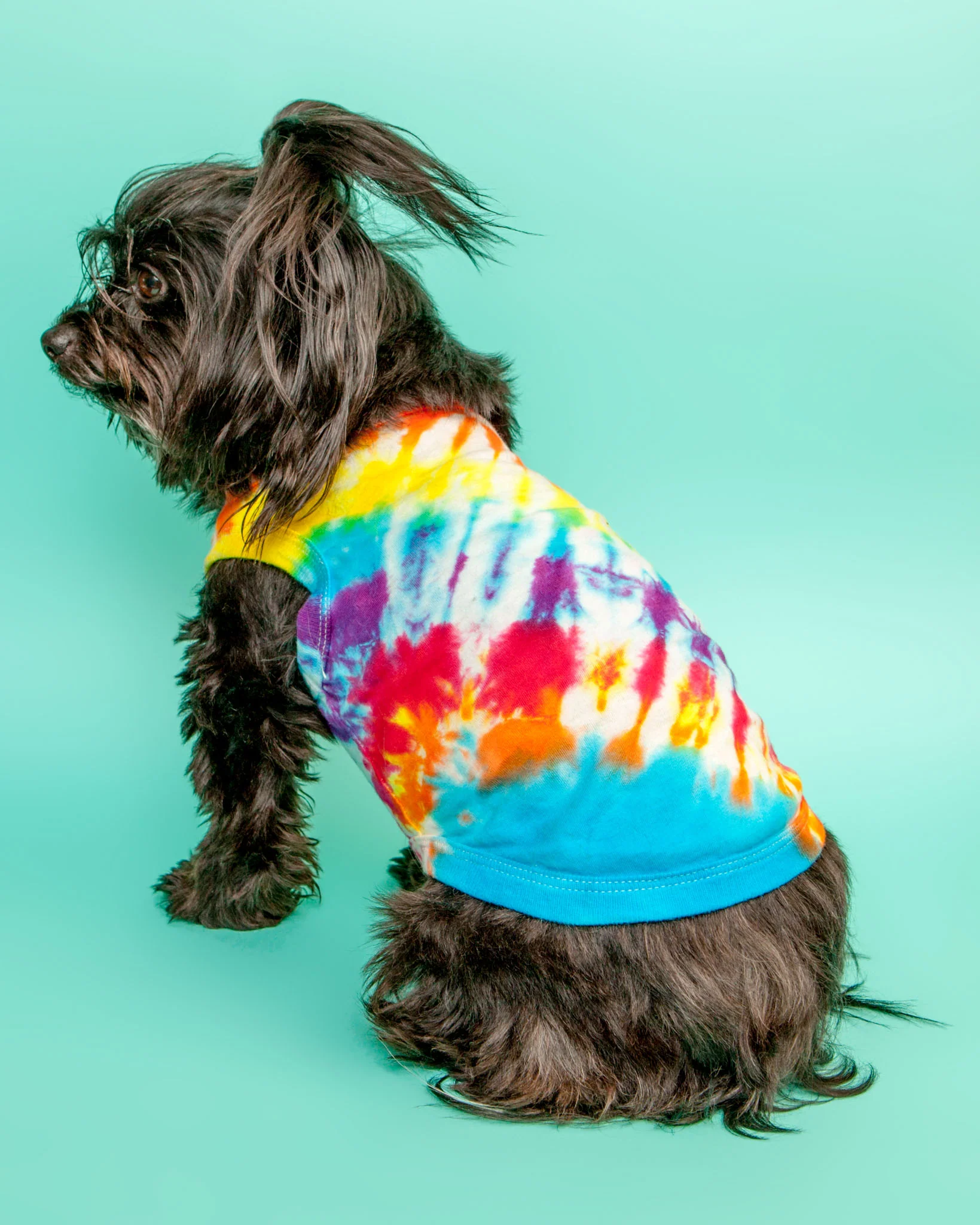 Summer Vibes Rainbow Tie-Dye Tank Top (FINAL SALE) - Image 3