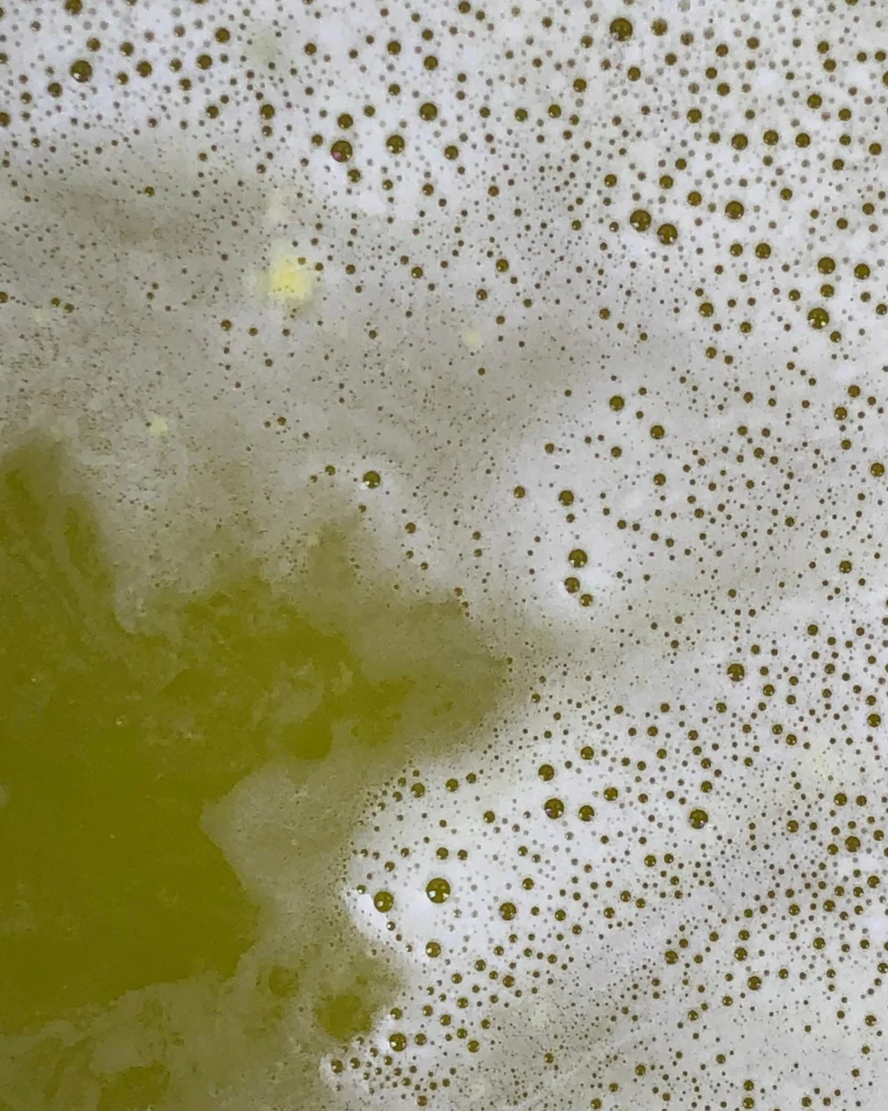 Dog Bath Bomb (Made in the USA) - Image 6