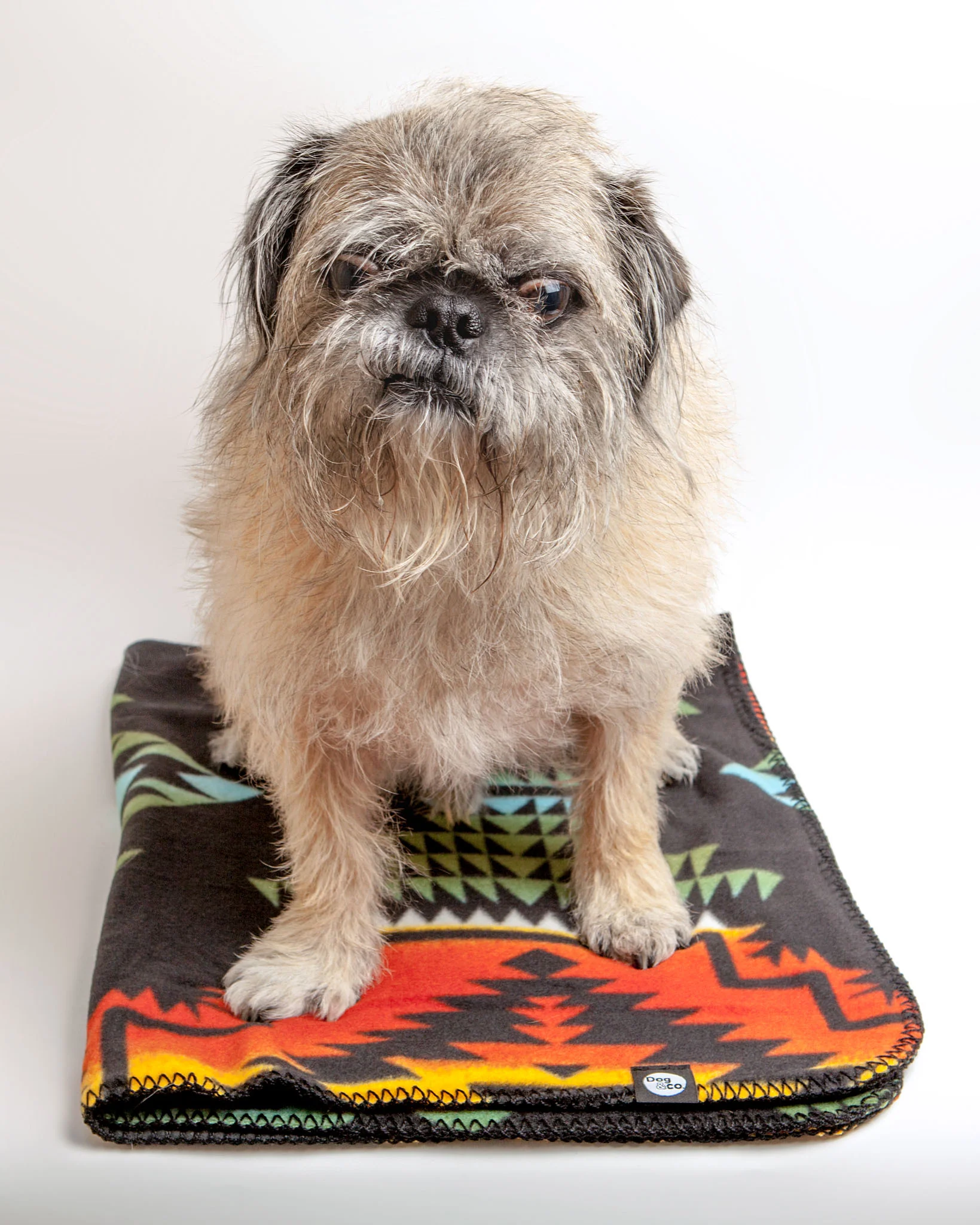 Aztec Fleece Blanket