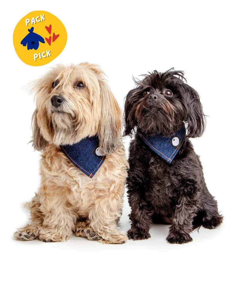 Bandana Bowl For Dogs (Made in the USA) - Image 5