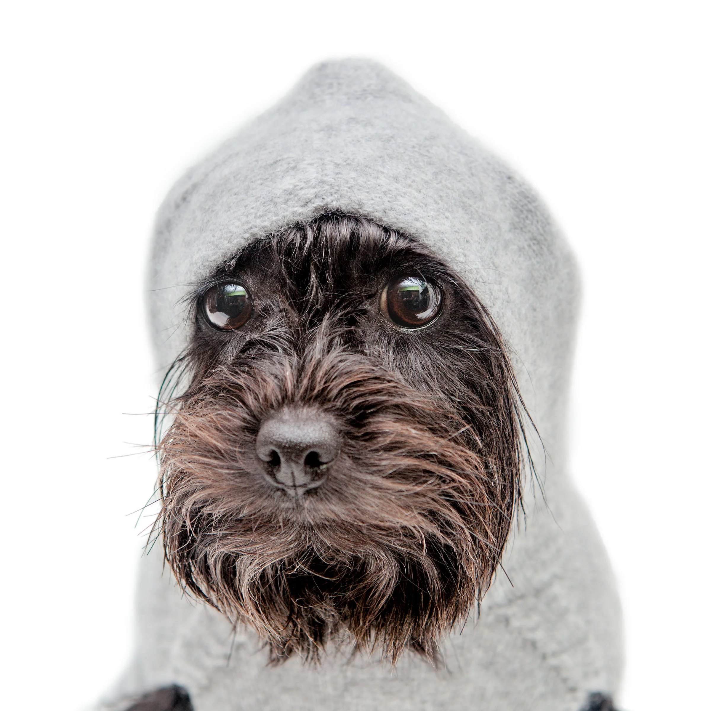 The Marmalady Cashmere Dog Hoodie in Brume Grey (Made in the USA)