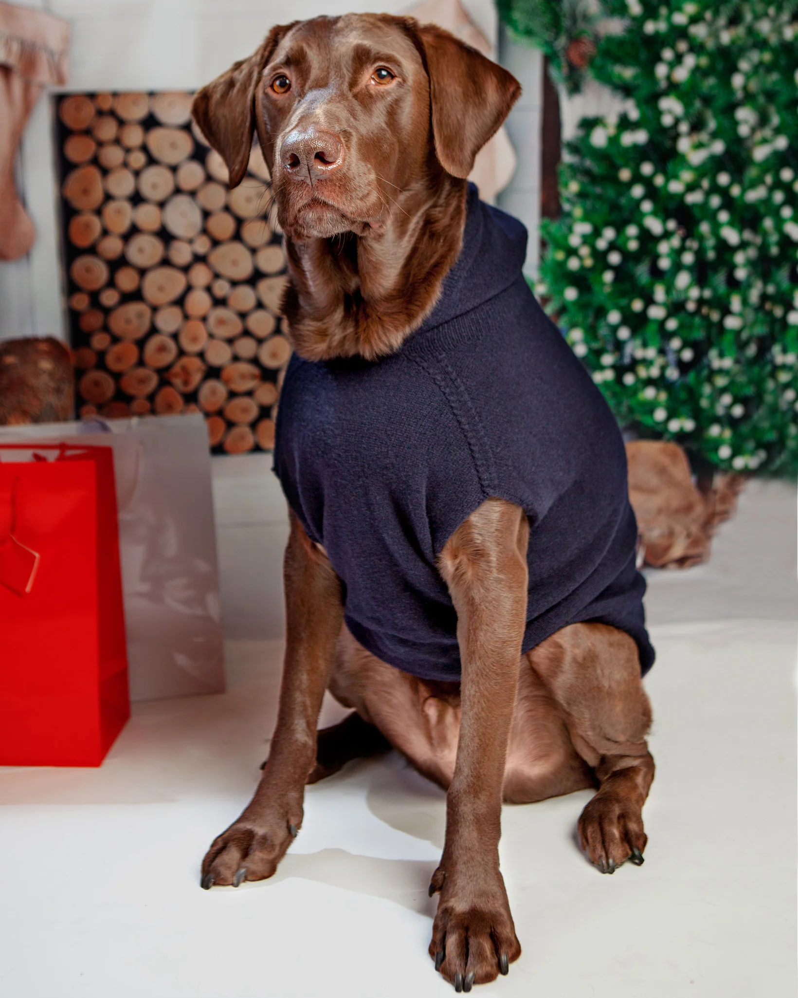 The Marmalady Cashmere Dog Hoodie in Brume Grey (Made in the USA) - Image 5