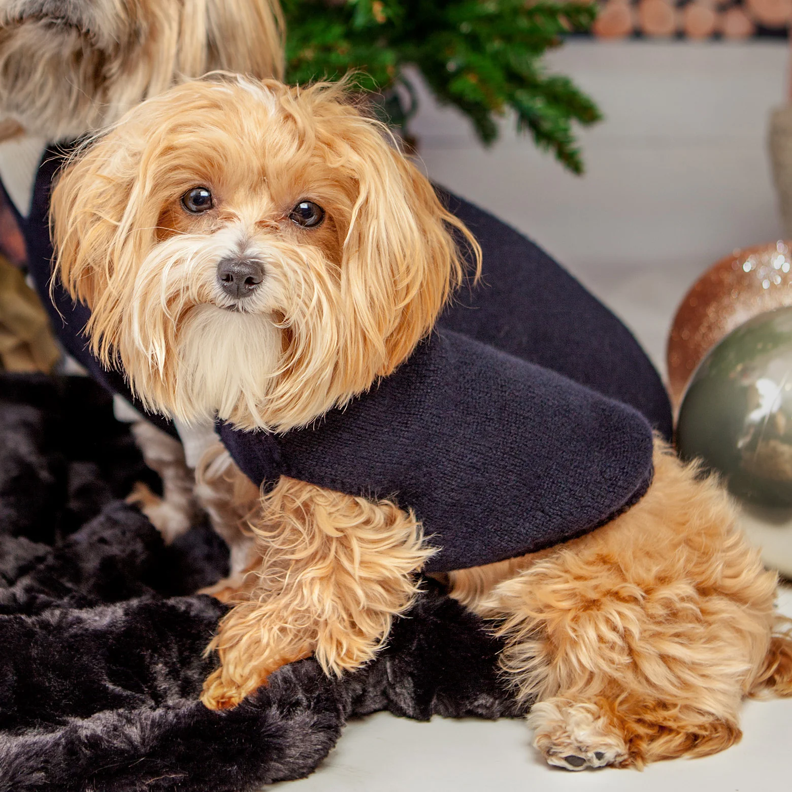 The Marmalady Cashmere Dog Hoodie in Midnight (Made in NYC) (FINAL SALE) - Image 9