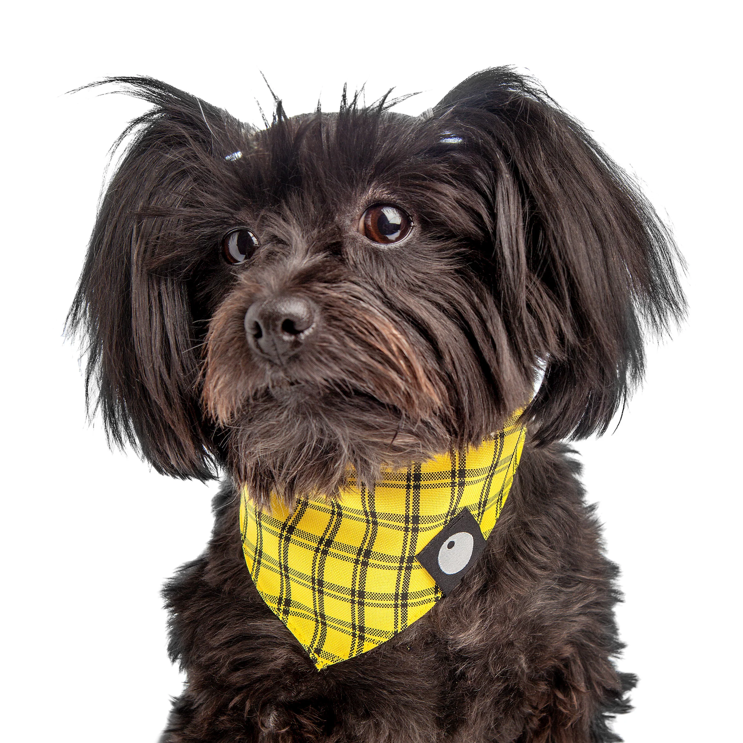 DOG & CO. | Check Bandana in Yellow - Image 2